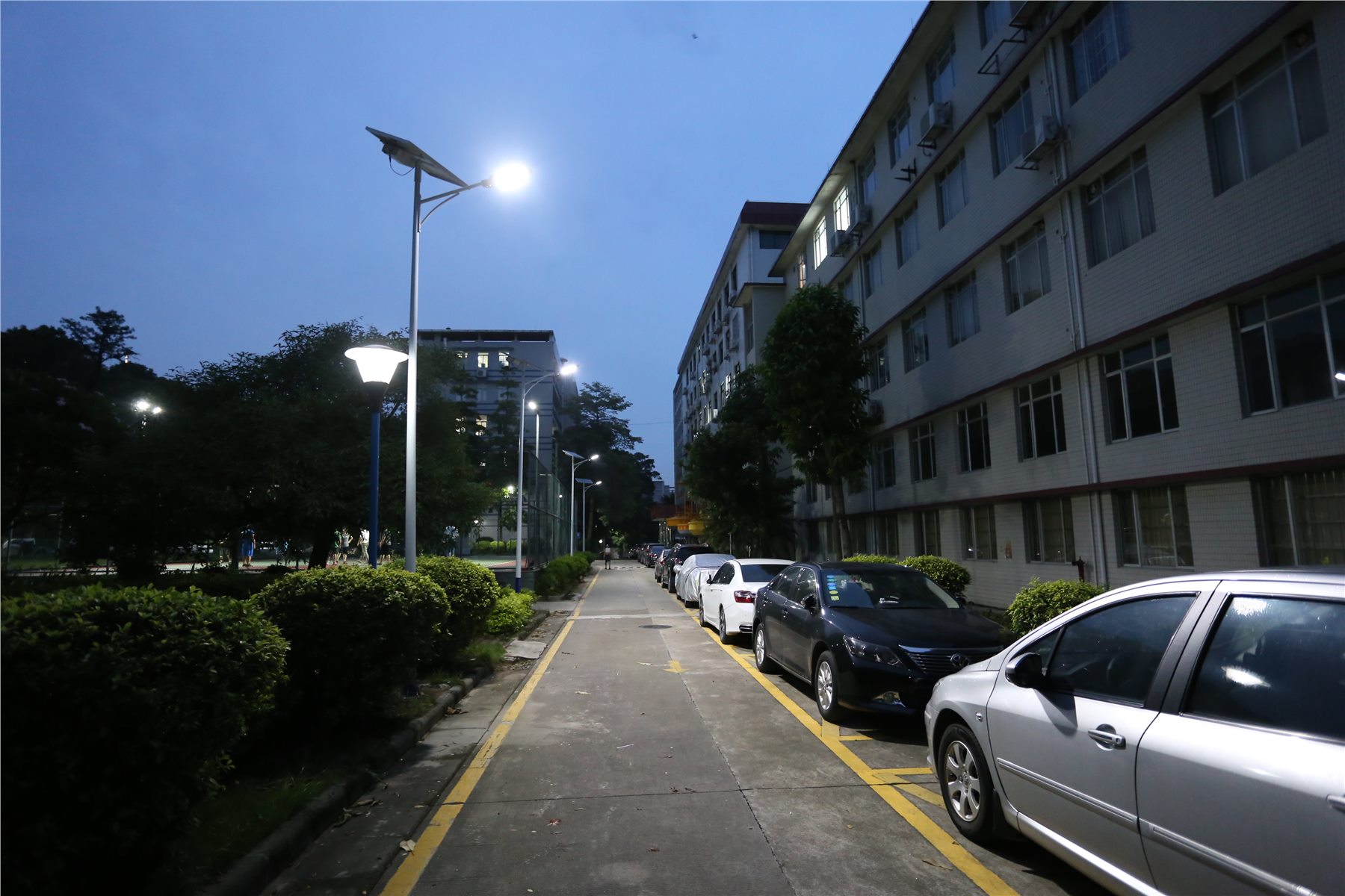 Municipal solar road lighting
